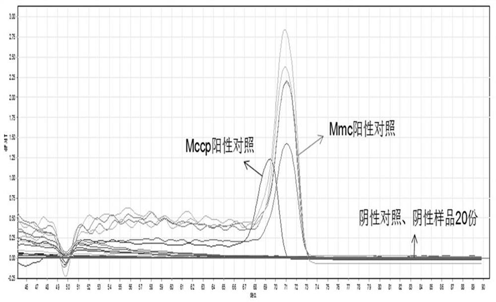 HRM primers and methods for differentiating Mycoplasma capricosum subsp.