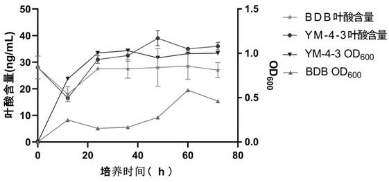 Application of dihydropterin aldolase gene