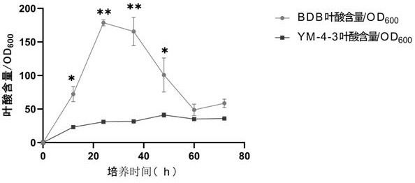 Application of dihydropterin aldolase gene