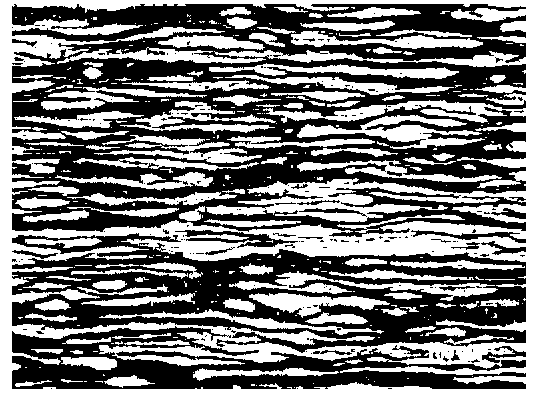 Two-phase stainless steel alloy and preparation method thereof