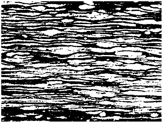 Two-phase stainless steel alloy and preparation method thereof