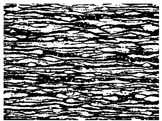 Two-phase stainless steel alloy and preparation method thereof