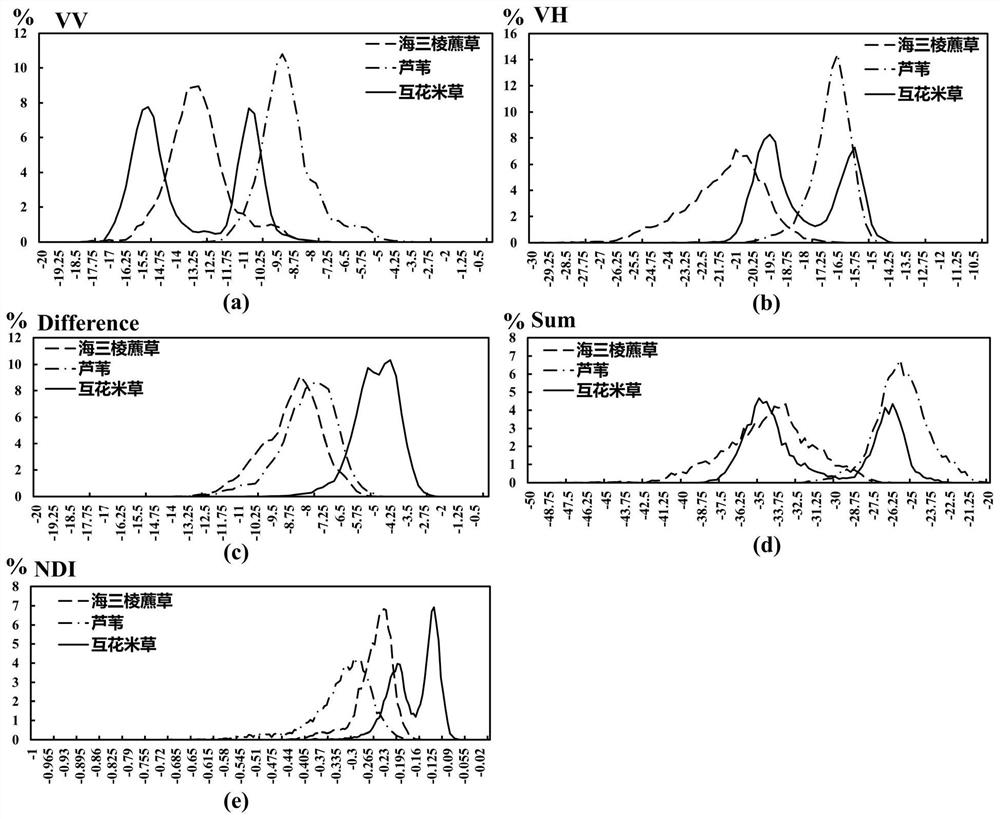 Large-scale intertidal zone vegetation classification method based on synthetic aperture radar