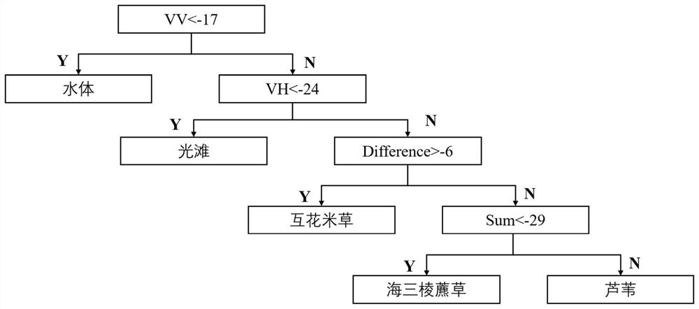 Large-scale intertidal zone vegetation classification method based on synthetic aperture radar