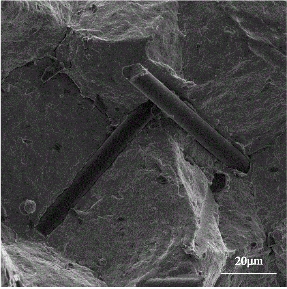 Preparation method of carbon fiber reinforced magnesium matrix composite