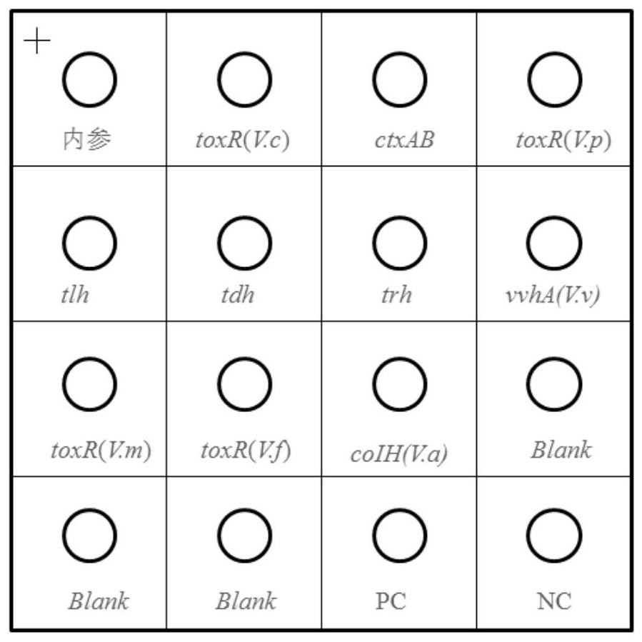 A nucleic acid combination and application thereof for detection of pathogenic vibrio