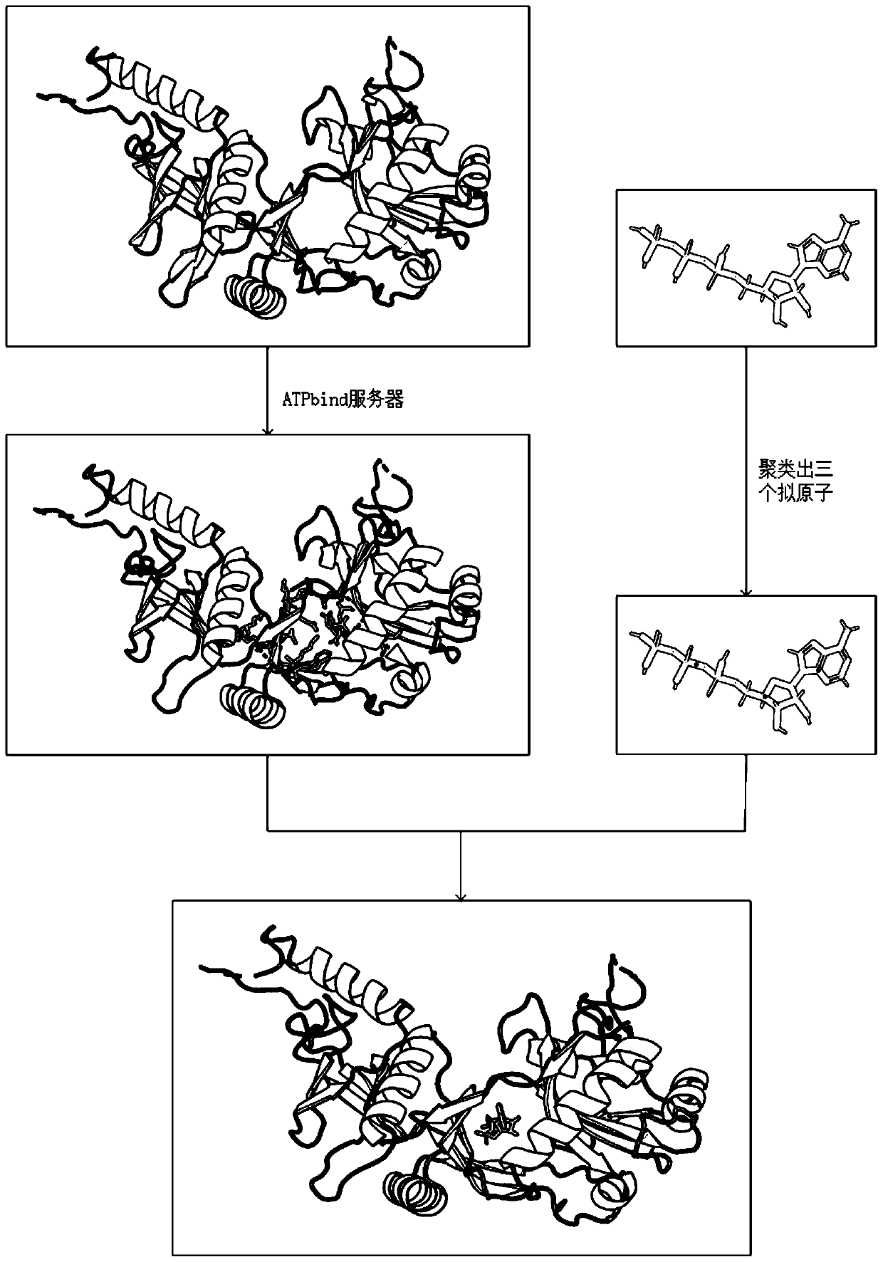 Differential evolution-based protein ATP docking method