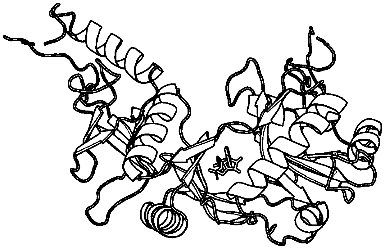 Differential evolution-based protein ATP docking method