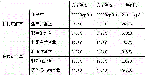 Brackish water and fresh water mixed irrigation method for saline-alkali soil and application of irrigation method in planting of amaranthus hypochondriacus