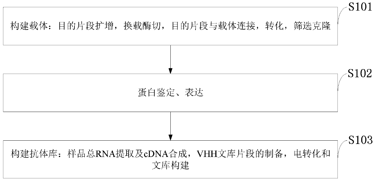 TIM-3 nanobody as well as preparation method and application thereof