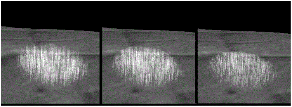 Plant leaf scab rendering method