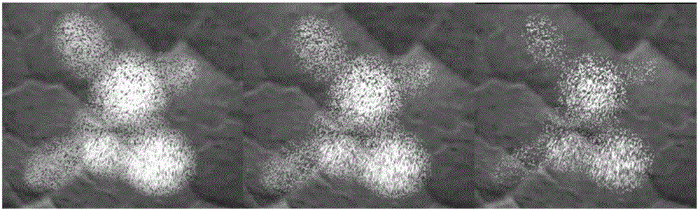 Plant leaf scab rendering method