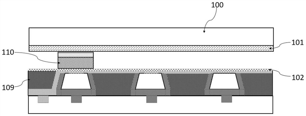 Display device and preparation method thereof