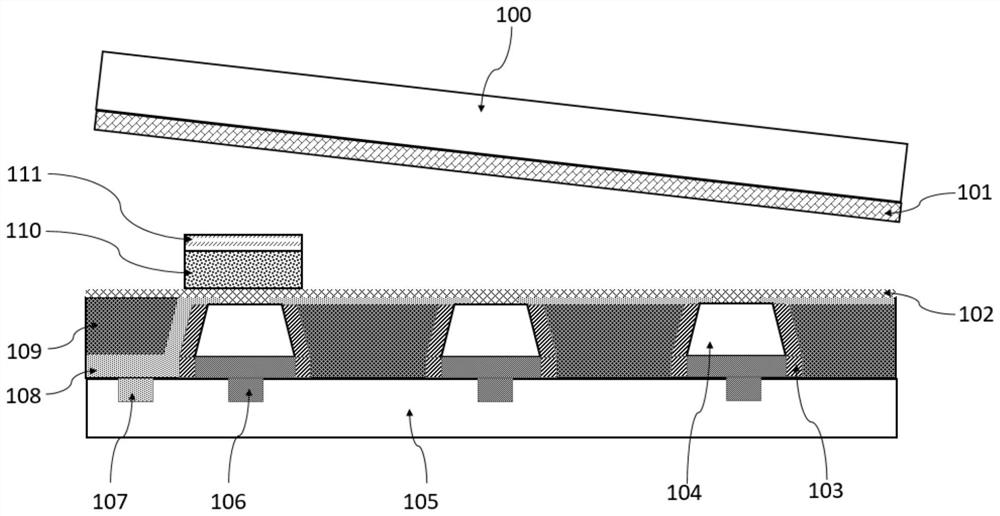 Display device and preparation method thereof