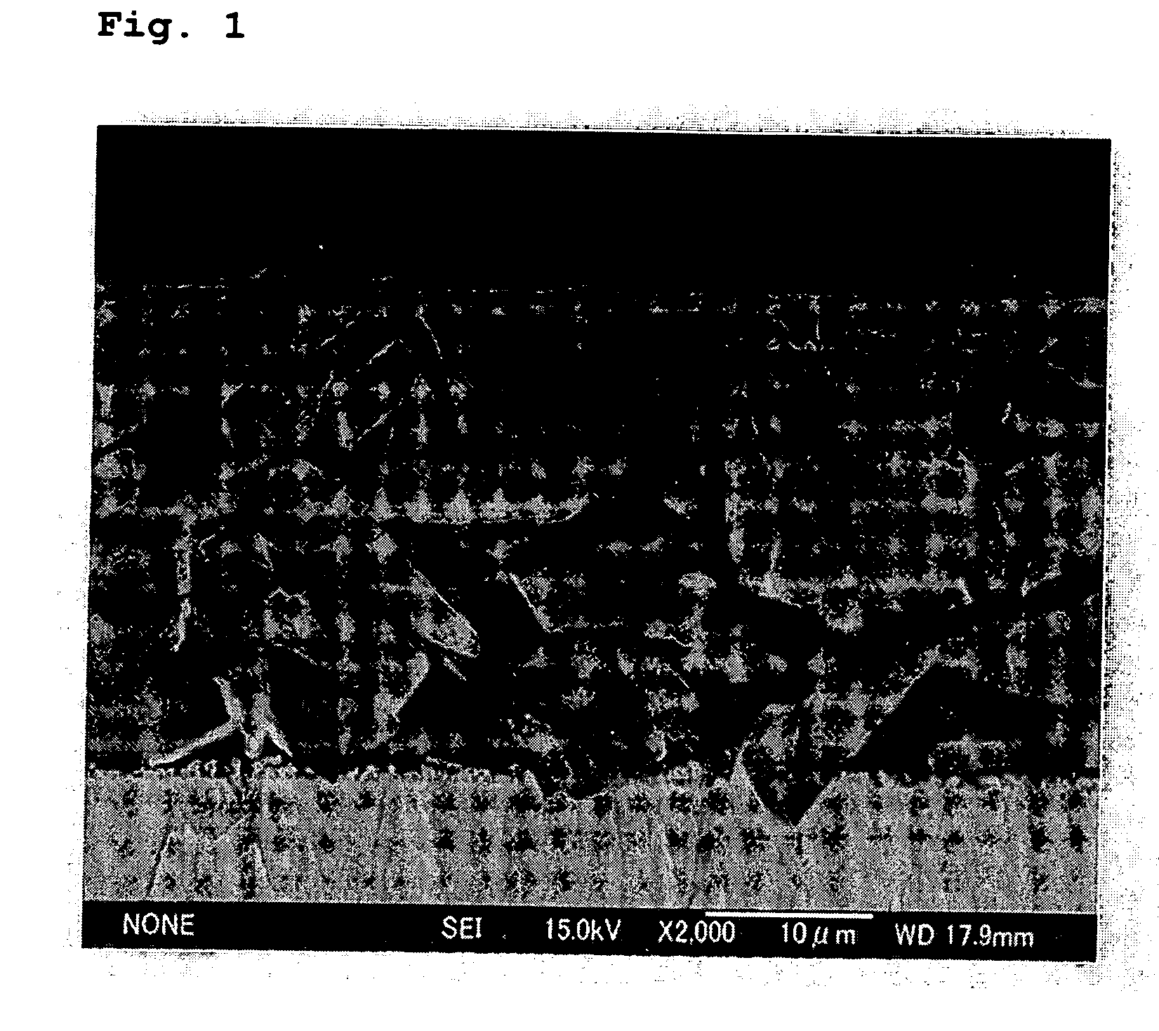 Negative electrode for lithium secondary battery, method of manufacturing the electrode, and lithium secondary battery