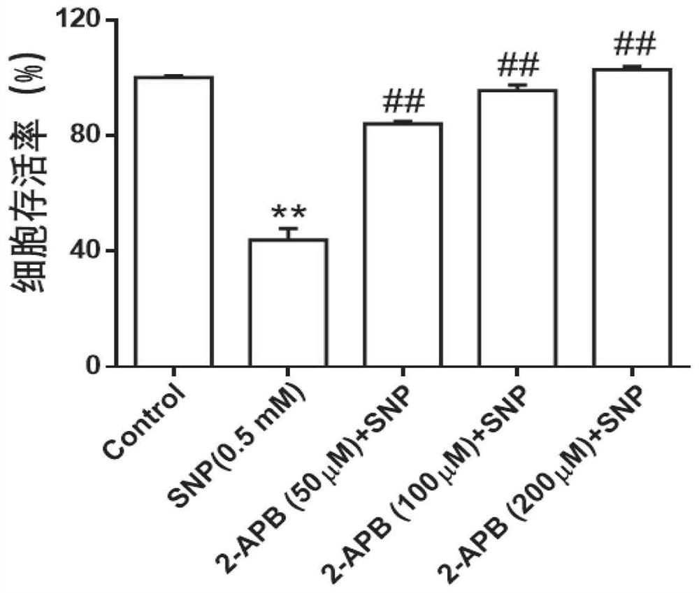 Application of 2-apb in preparation of medicine for treating osteoarthritis