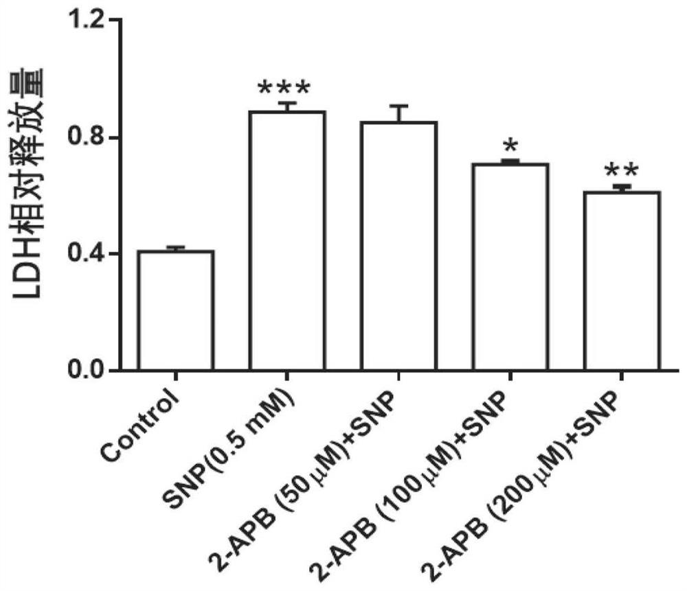 Application of 2-apb in preparation of medicine for treating osteoarthritis