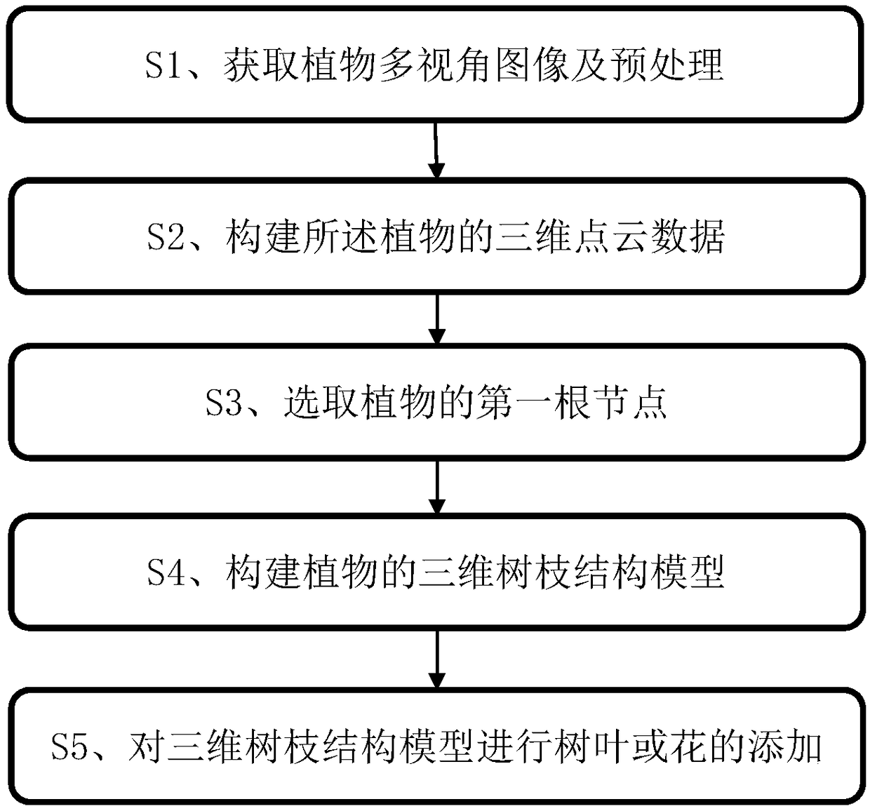 Process-type plant model reconstruction method based on multi-view images