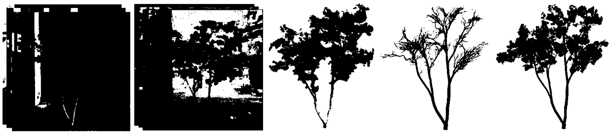 Process-type plant model reconstruction method based on multi-view images