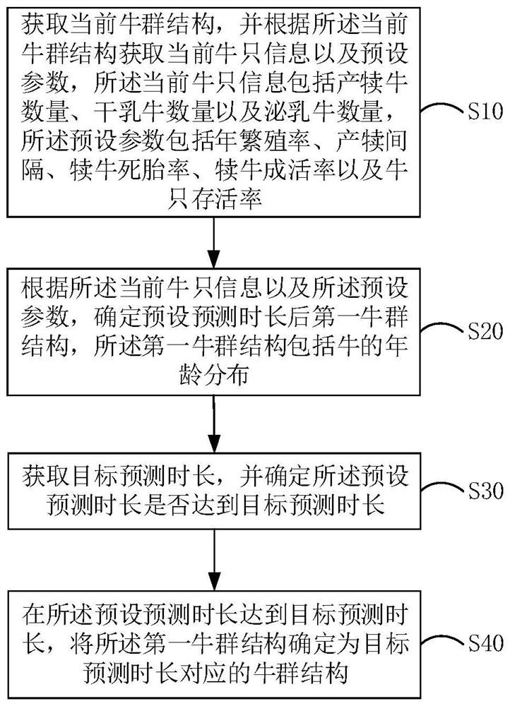 Cattle flock structure determination method and device and computer readable storage medium