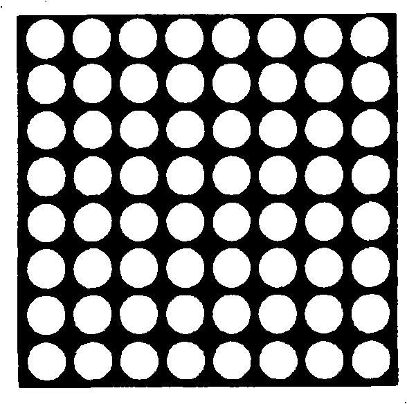 Microparticle lens array holographic printing