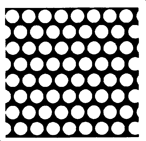 Microparticle lens array holographic printing