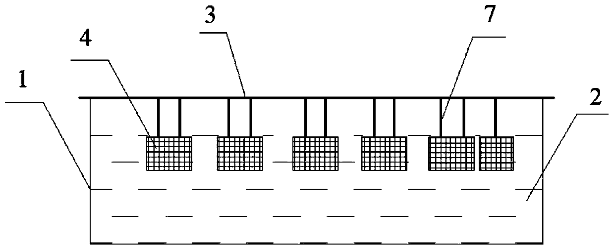 A kind of self-circulation type prawn cultivation method