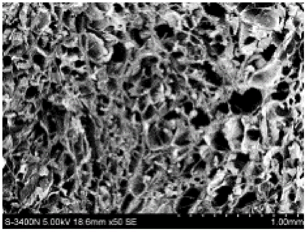 Dual-network poly(N-acryloyl-L-alpha-amino acid)/hyaluronic acid composite hydrogel and preparation method thereof