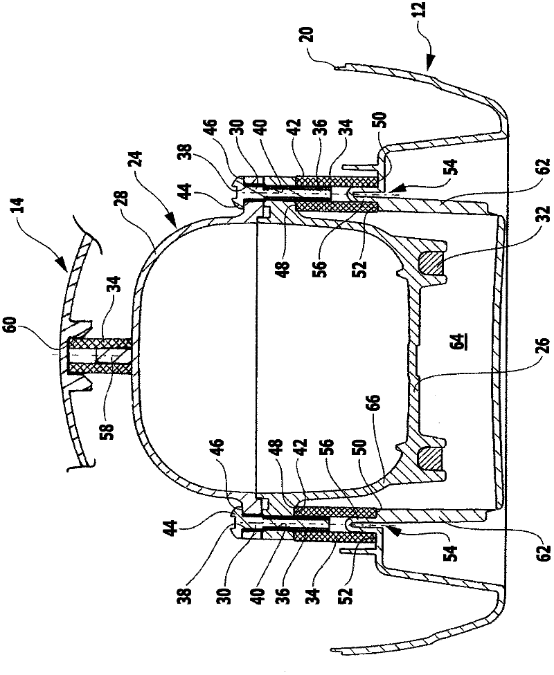 Steam cleaning device