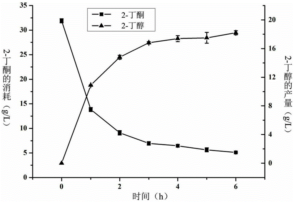 Recombinant escherichia coli and application thereof to 2-butanol production