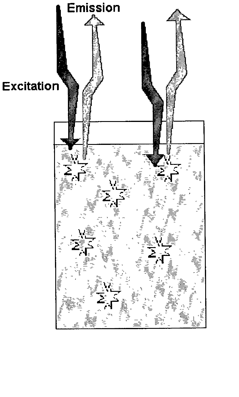 Fluorescence proximity assay