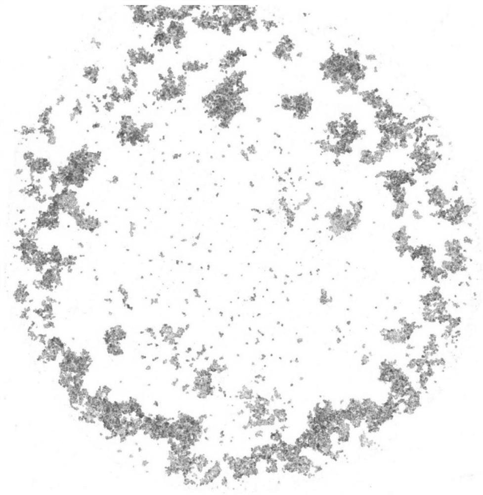 Buffer solution for immunohistochemical detection quality control product as well as preparation method and application of buffer solution