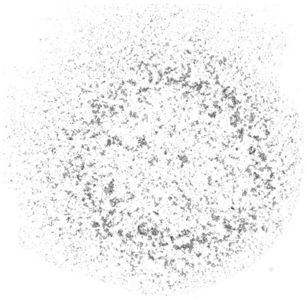 Buffer solution for immunohistochemical detection quality control product as well as preparation method and application of buffer solution