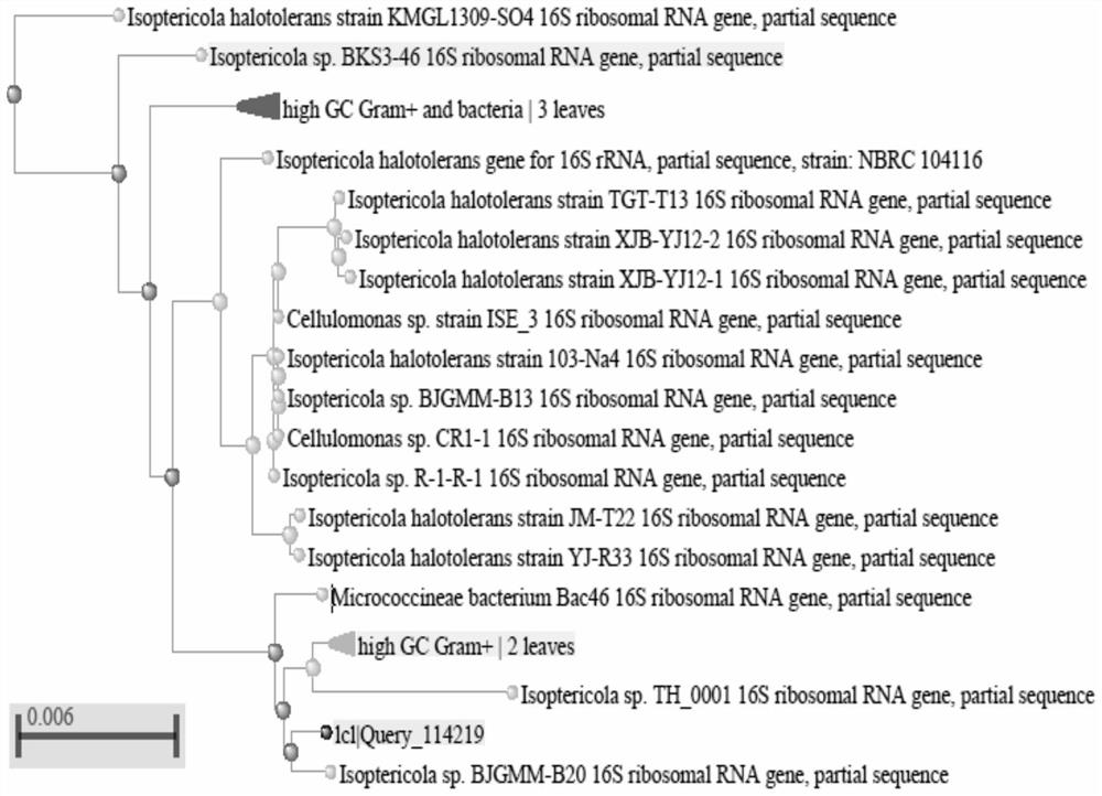 A cold-adapted type I 5-enolpyruvylshikimate-3-phosphate synthase gene