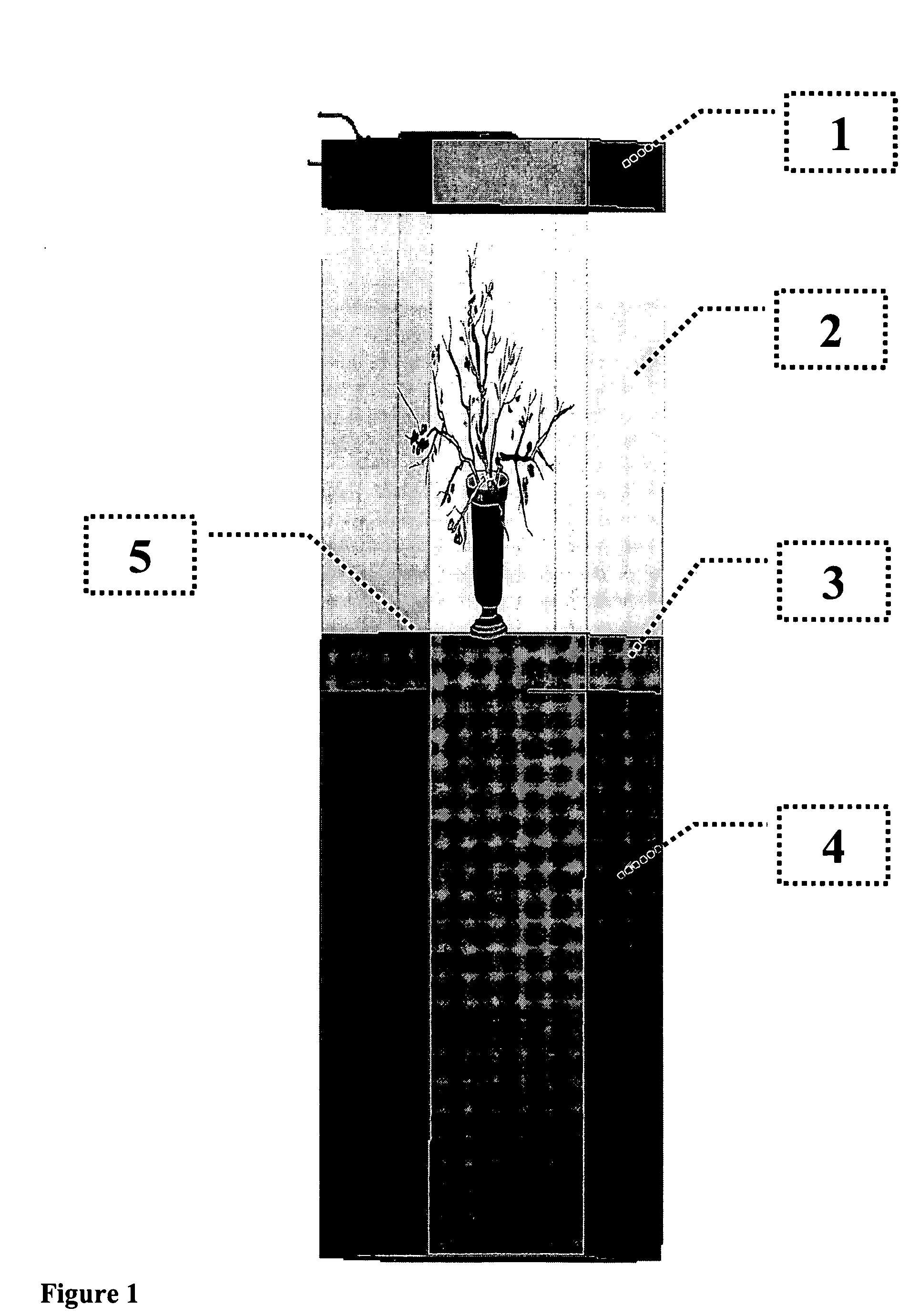 Sanitizing container and display