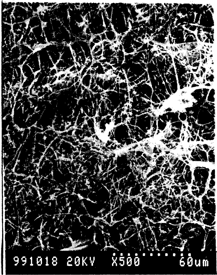 Preparation method of collagen/chitosan porous scaffold for tissue engineering