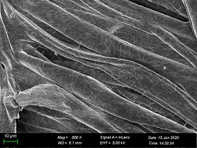 Super-hydrophobic flexible fabric pressure sensor based on silver nanowires and preparation method of super-hydrophobic flexible fabric pressure sensor