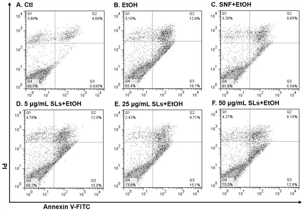 Coumaroyl spermidine derivative, extraction method and application thereof