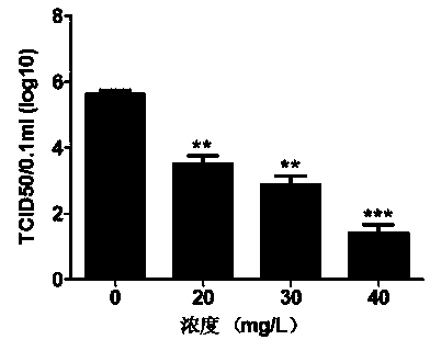 Application of antimicrobial peptide Protegrin-1 for preventing and controlling porcine reproductive and respiratory syndrome