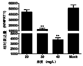 Application of antimicrobial peptide Protegrin-1 for preventing and controlling porcine reproductive and respiratory syndrome