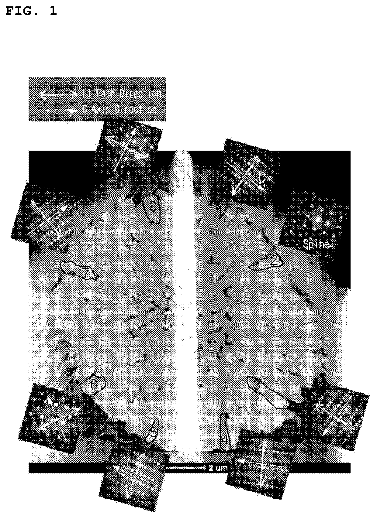 Positive Electrode Active Material For Lithium Secondary Battery, Method of Preparing the same, and Positive Electrode for Lithium Secondary Battery and Lithium Secondary Battery which include the positive Electrode Active Material