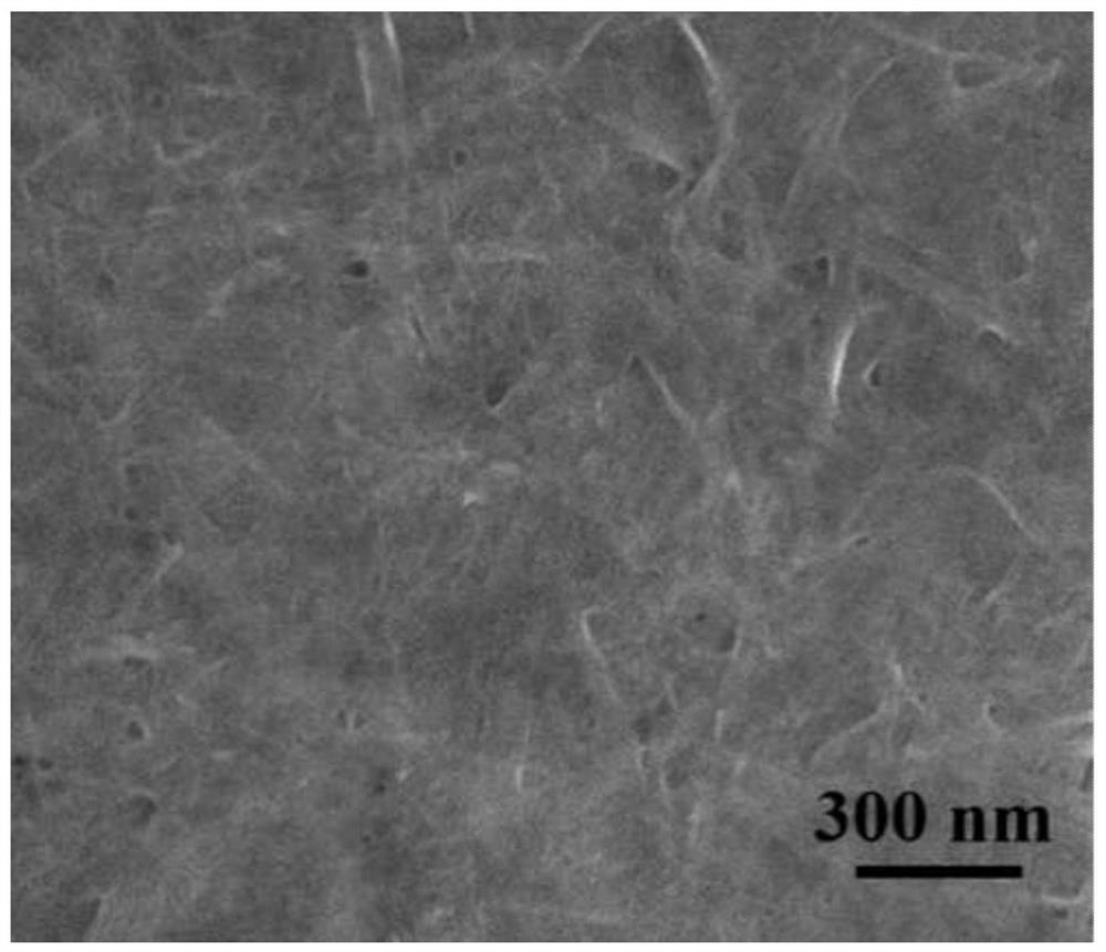 Composite gas sensitive material and its preparation method, gas sensor and its application