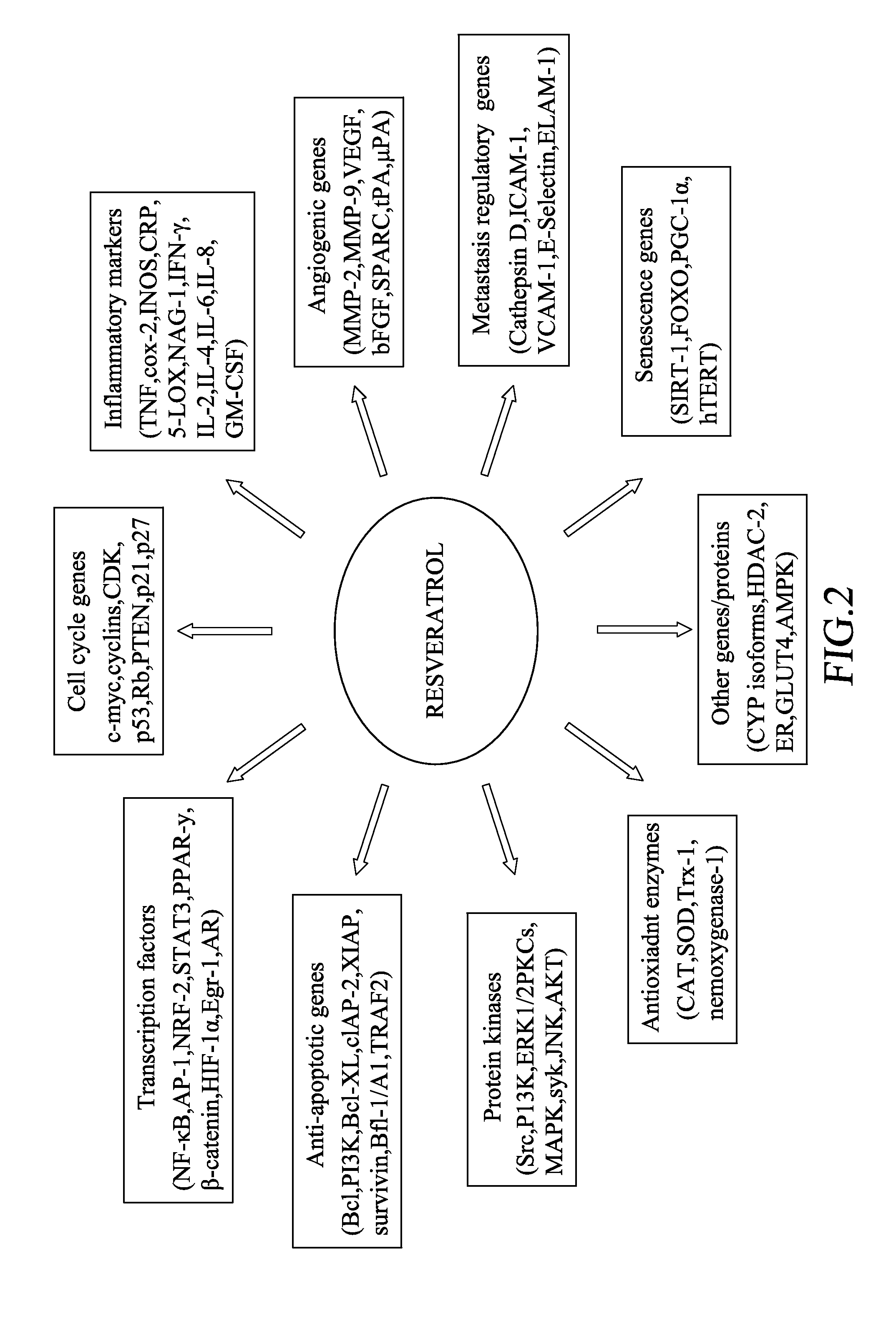 Food recipes for nourishing, maintaining and cultivating a variety of stem cells and a method for manufacturing the same