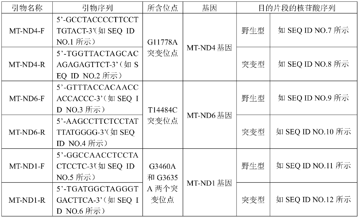 A detection primer, kit and detection method for mitochondrial dna gene mutation of leber hereditary optic neuropathy