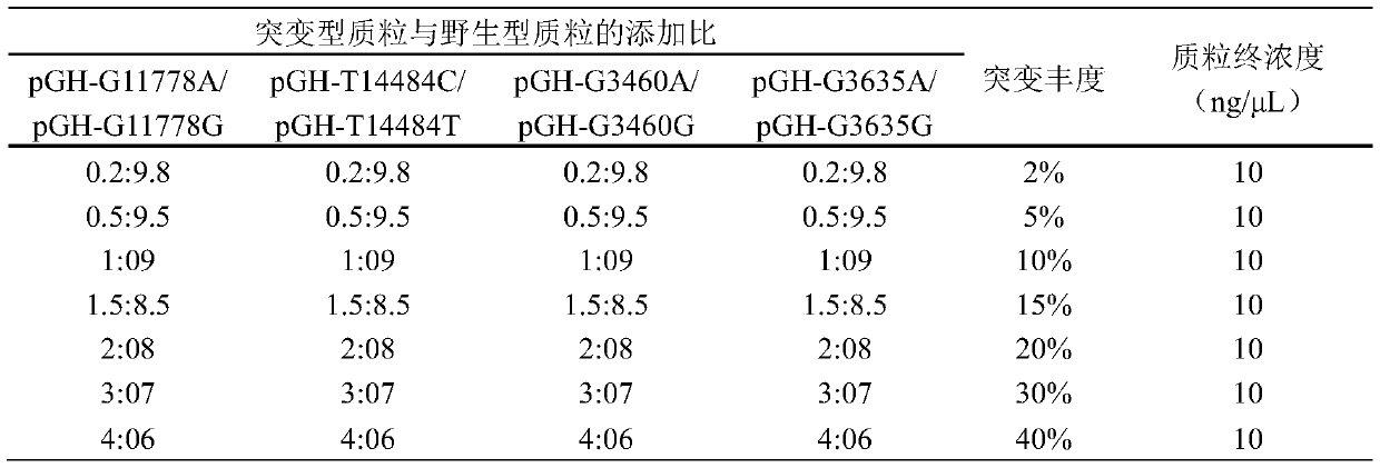 A detection primer, kit and detection method for mitochondrial dna gene mutation of leber hereditary optic neuropathy