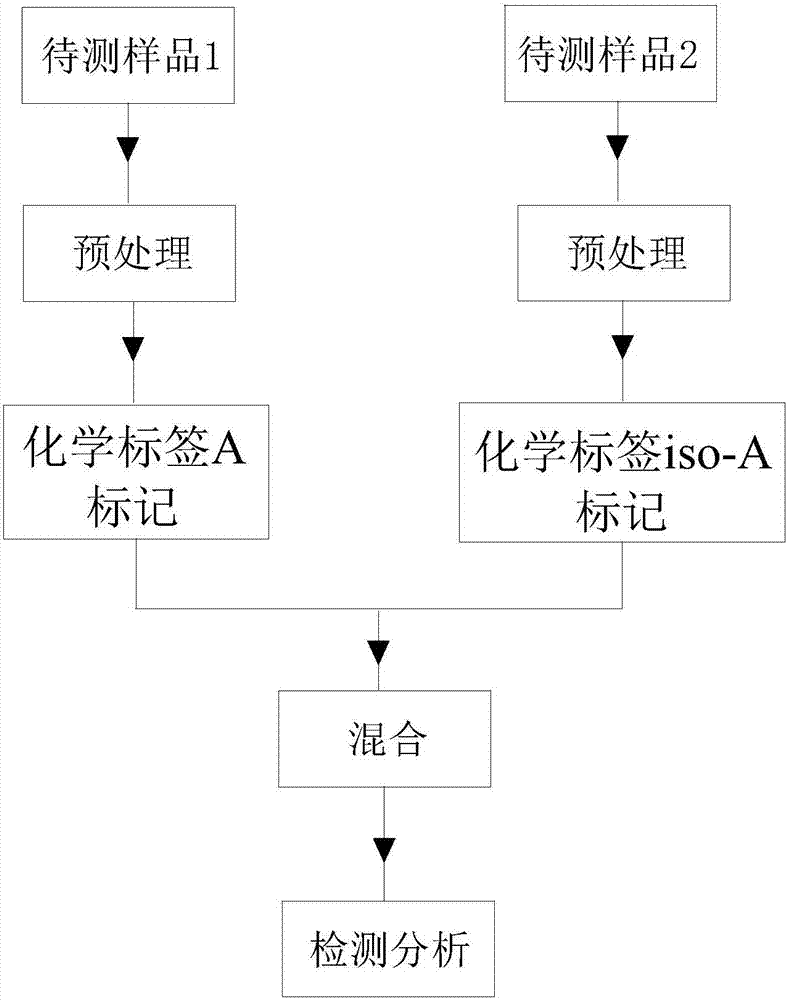 Protein isotope dilution tandem mass spectrometry method based on chemical labeling technology