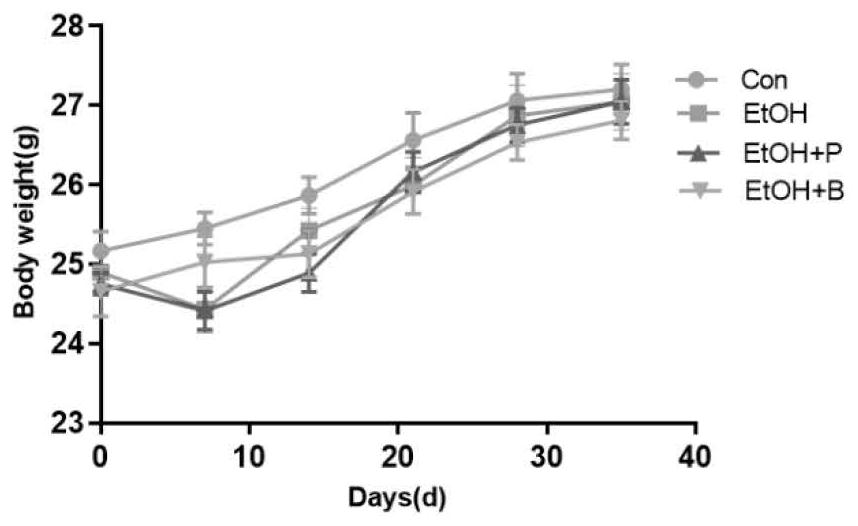 Application of short-chain fatty acid in prevention or/and treatment of liver injury