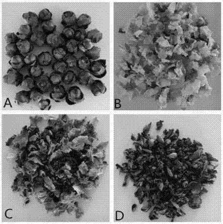 Preparation method of oiltea camellia scented tea and oiltea camellia scented tea prepared thereby