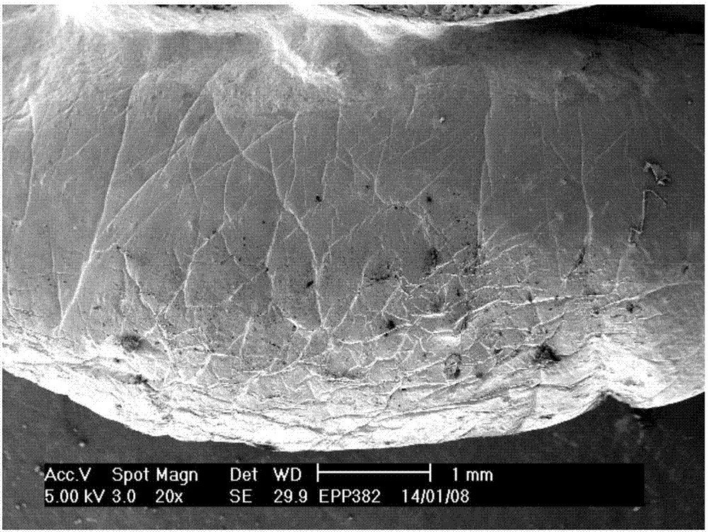 Flame retardant antistatic polypropylene composition and foamed bead prepared therefrom