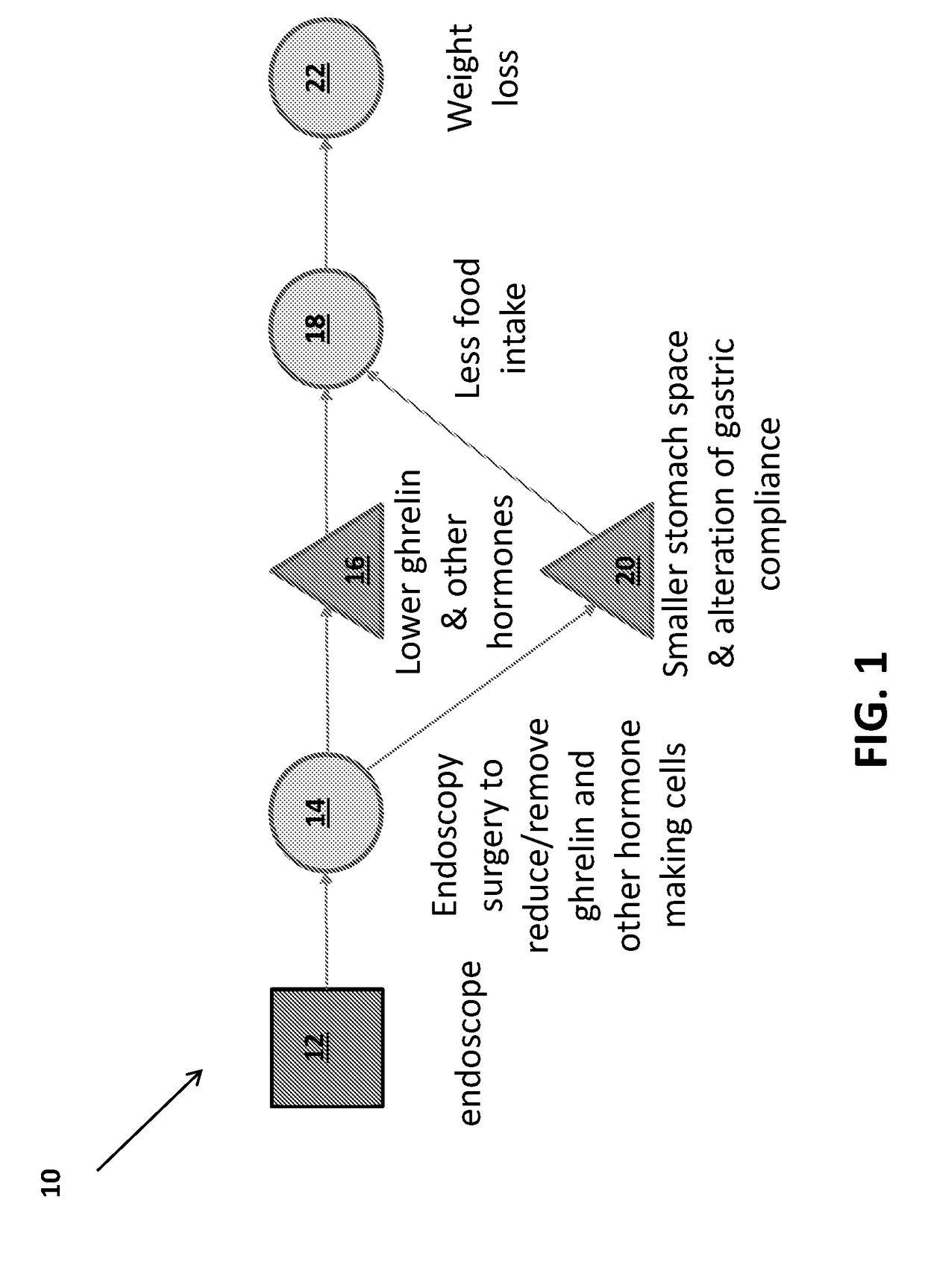 Endoscopic gastric mucosal ablation/resection/exclusion (a/r/e) as a minimally invasive weight loss approach